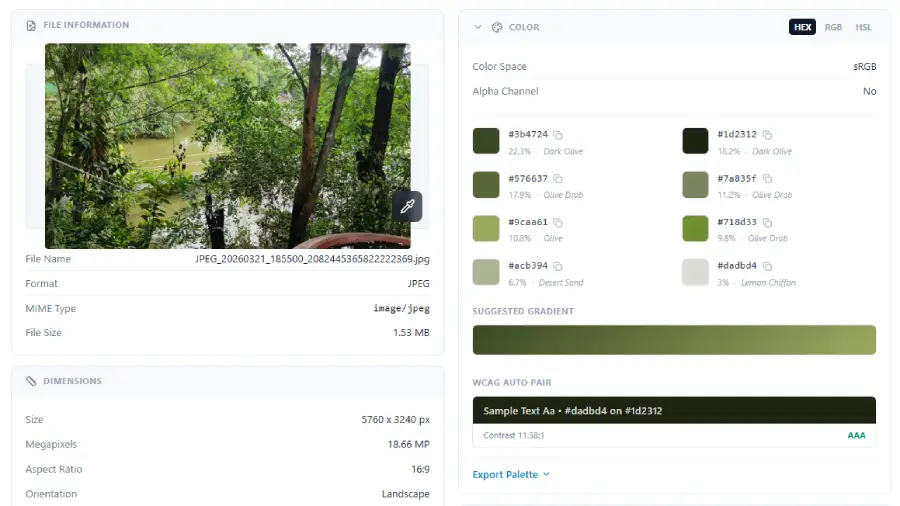 Image Inspector